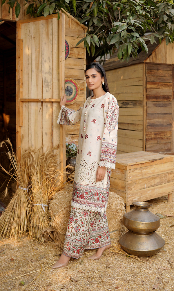 2 Piece Stitched Cotton Lawn Embroided Suit with Boring EJ-119