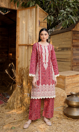 2 Piece Stitched Cotton Lawn Embroided Suit EJ-113